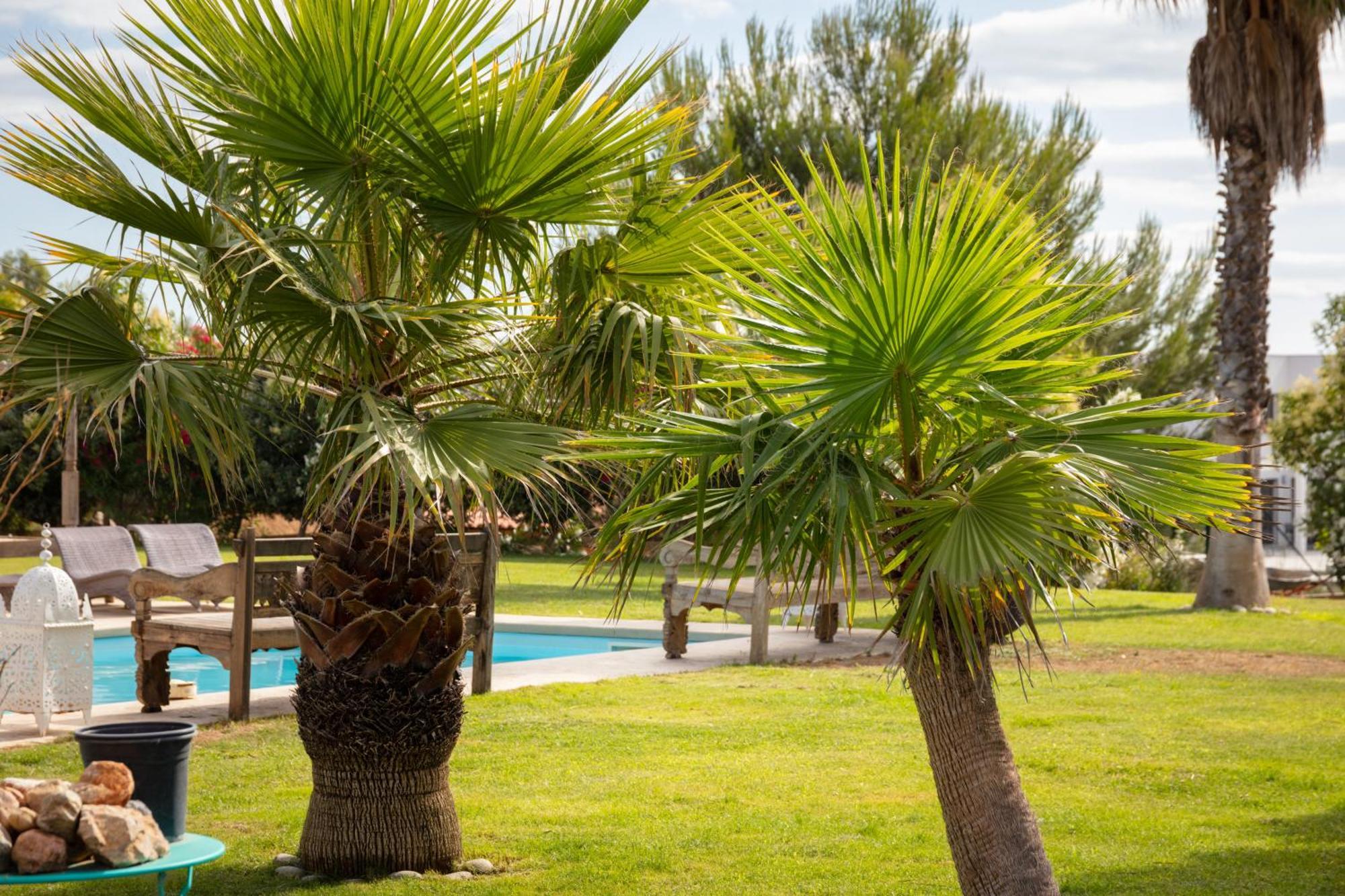 Bed and Breakfast Escapades Lointaines Perpignan Exterior foto